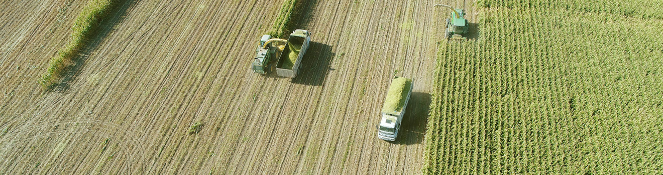 Web Sitemiz Yayında